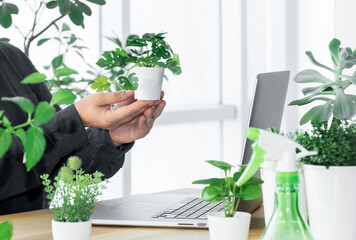 laptop woman greens plant greenhouse workplace online meeting houseplant shopping sale