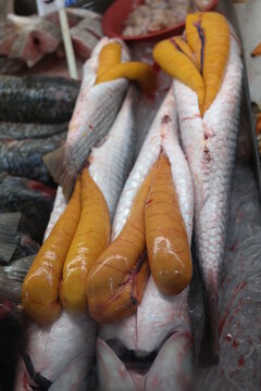 Ova de peixe