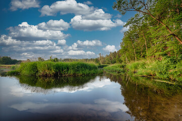 Fototapeta premium A small and wildly flowing river. 