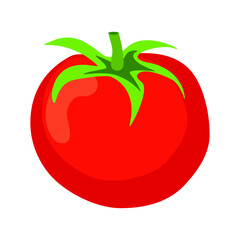 Fresh tomato isolated on white background. Vector illustration transparent png.