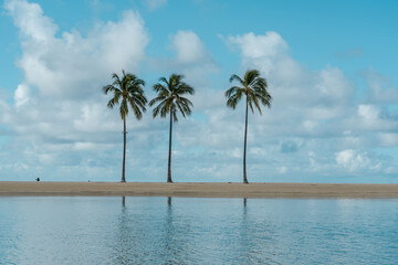 Fototapeta premium Duke Kahanamoku Lagoon, Waikiki, Honolulu, Oahu, Hawaii. 