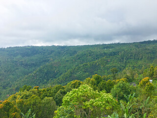 Indonesia Bali Landscape 