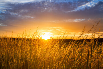 Stimmungsvoller Sonnenuntergang Landschaftsmotiv
