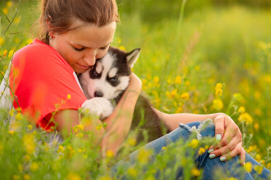 Young woman in a T-shirt hugs a husky puppy at sunset outdoors. The relationship between dog and owner