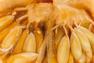 Semillas Melón.  Melón. Fruta. Abstracto. Macro.