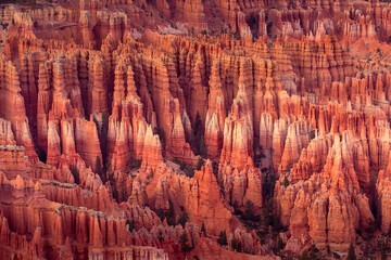 Bryce Canyon hoodoos