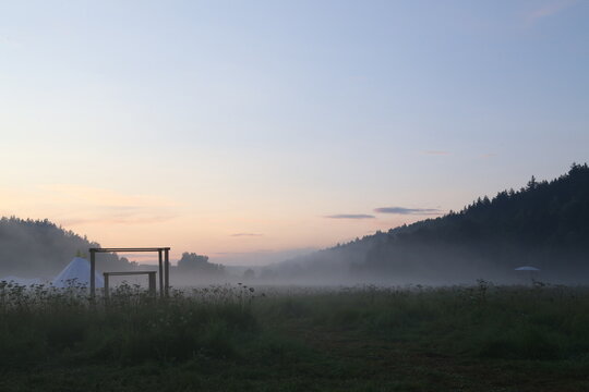 fog in the field at dawn at the open air festival
forest and feeld