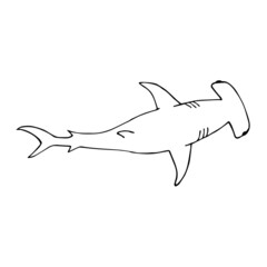 Vector hand drawn doodle sketch hammerhead shark isolated on white background - obrazy, fototapety, plakaty