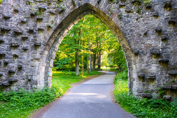 Fototapeta na wymiar Gothic arc gate over asphalt road in the forest. Arturs Castle near Sychrov, Czech Republic