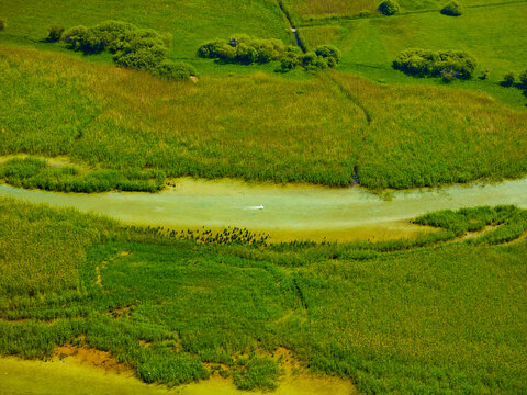 Landender Schwan aus dem Hubschrauber