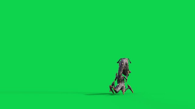 Cartoon Dragon Dog Green Screen Walks Monster Back 3D Animation 4K