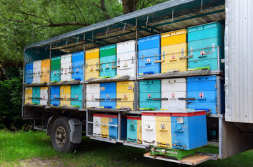 Apiary on a car platform in the forest in the Caucasus mountains, Russia. Wooden beehives