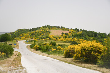 Panoramic view of the countryside of Belmonte del Sannio, a village in the mountains of the Molise...