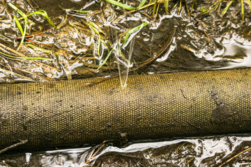 Leakage in the connection of the pipes for pumping water from the pond. A hole in a fire hose from...