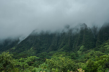 Koolau Range, Hoomaluhia Botanical Garden, Honolulu, Oahu, Hawaii. Koʻolau Range is a name given to the dormant fragmented remnant of the eastern or windward shield volcano of  Oahu