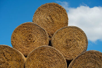 Hay stack piles in rural area forms geometric shapes