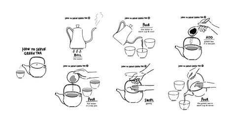 Hand drawn illustration of infographics of how to serve green tea in 6 steps in simple drawing 