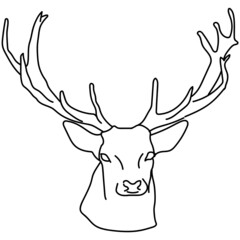 Lineart deer head illustration. Black and white. Handdrawn sketch.