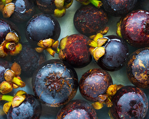 Several purple mangosteens in water