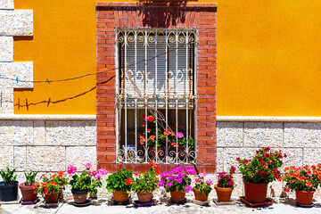 Fototapeta na wymiar Window with flowers. Exterior decoration. Flowers in pots. Colored facade.