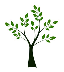 Green shape of Tree on white background. Vector illustration.