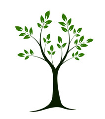 Obraz premium Green shape of Tree on white background. Vector illustration.