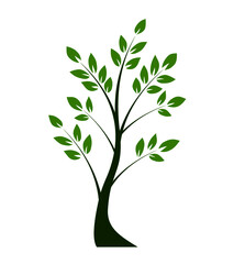 Green shape of Tree on white background. Vector illustration.