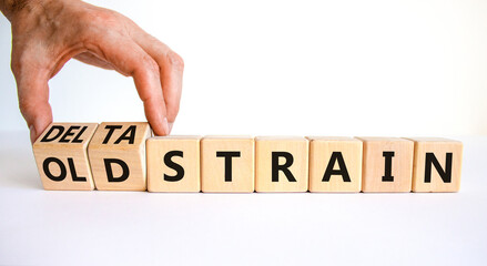 Covid-19 old or delta strain symbol. Doctor turns wooden cubes and changes words old strain to delta strain. Beautiful white background, copy space. Medical, Covid-19 old or delta strain concept.