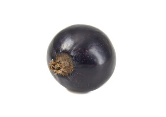 Black currant isolated on white close up