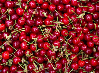 Background of evenly spread cherries. Top view on fresh red berries.