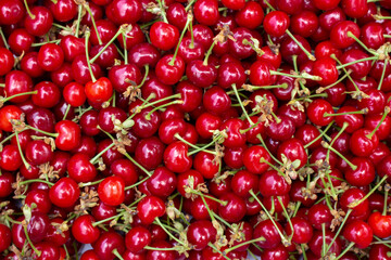 Background of red cherries with tails. Evenly spaced berries, top view.