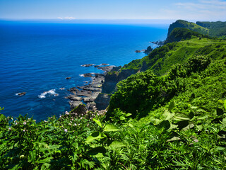 島武意海岸