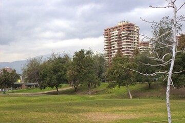 park in spring