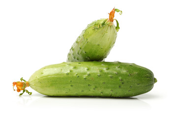 Green cucumber on the white background