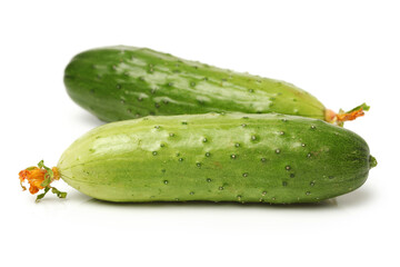 Green cucumber on the white background