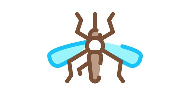 Mosquito Insect Icon Animation. color Mosquito Insect animated icon on white background