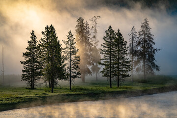 Landscape photo of fog hangs over trees along a river with light rays shining through in US National Park 02