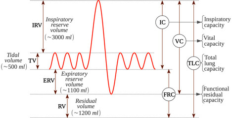 Simple Spirometry (Volume vs time graph) - Lung Volumes and Capacities in normal healthy male