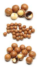 Shelled and unshelled macadamia nuts on white background 