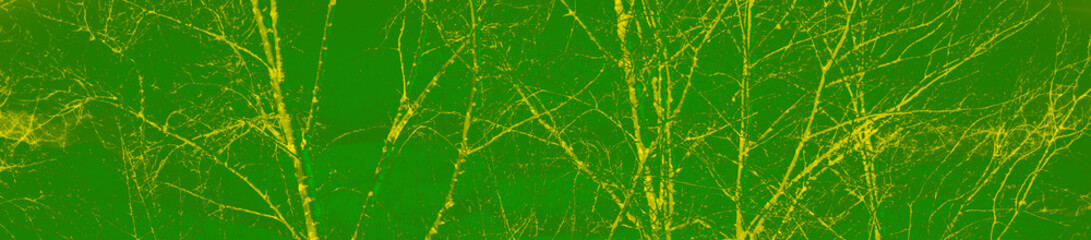 Obraz premium abstract bright green and yellow colors background for design