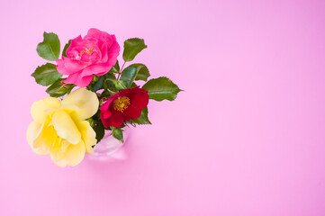 Flowers of different colors in a transparent glass vase on a pink surface