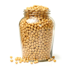 soybeans isolated on white