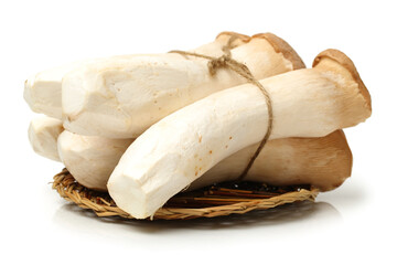 King oyster mushroom Pleurotus eryngii on white background 