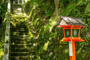 京都観光地-鞍馬寺から貴船神社へ行く山道