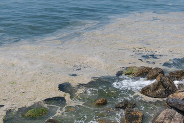 mucilage on the sea surface, istanbul, environmental disaster, rocky coast,