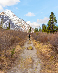 Fototapeta premium Man hiking on trail heading to St Elias Lake in Kluane National Park during May with backpack and huge mountain peak with snow in the background. Epic Canadian scenic view. 