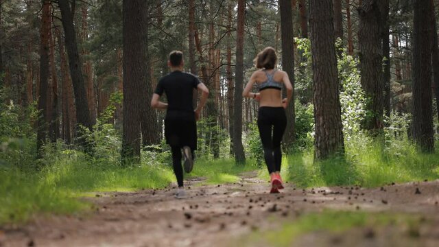 Trail runners at forest