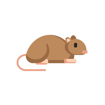 mouse, rat icon, flat icon vector illustration isolated on white background. for the theme of animals, rodents and others