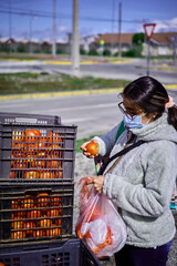 woman buying fruits and vegetables