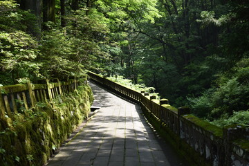 日本　群馬のパワースポット　榛名神社　夏の風景